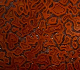 Cabochon en os de dinosaure agatisé d'Utah, USA. Collection personnelle.