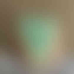 Paire de Cabochons en Bois Opalisé Naturel – Silice Cuprifère