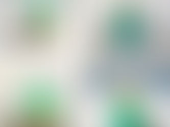 Bois opalisé et opales de Java (Indonésie)