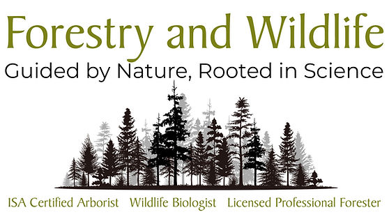 Forestry-Wildlife-Arborist-Services.jpg