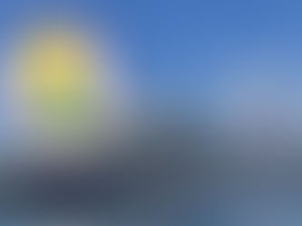 Why the Ban on Upside-Down Pineapples on Carnival Cruises Is a Good Thing: A Swingers Perspective