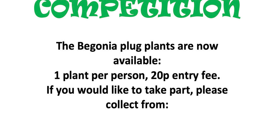 Produce Show ~ plug plant competition