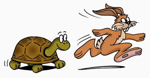 Animal Symbolism