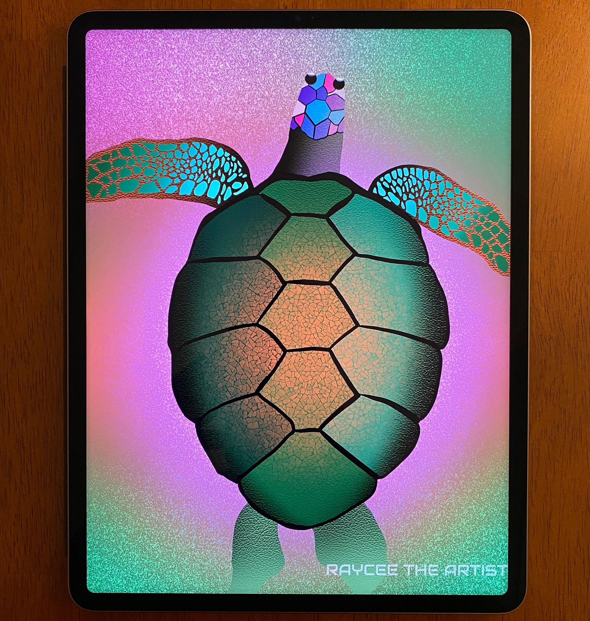 iPad for Digital Art