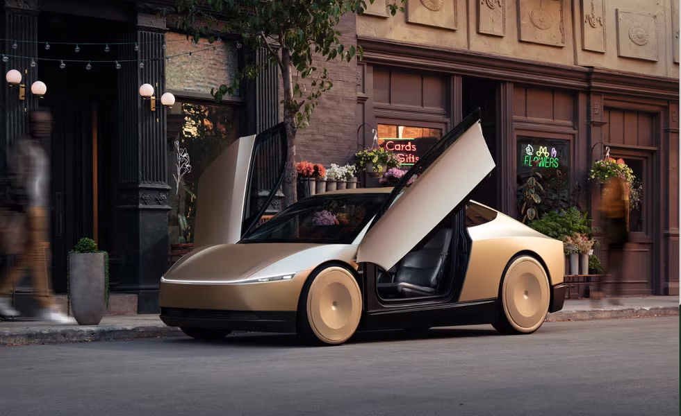 Tesla Robotaxi