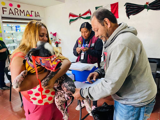 Más de 200 mascotas fueron vacunadas durante la Jornada de Vacunación Antirrábica realizada en la vieja delegación de Tlalpizahuac.