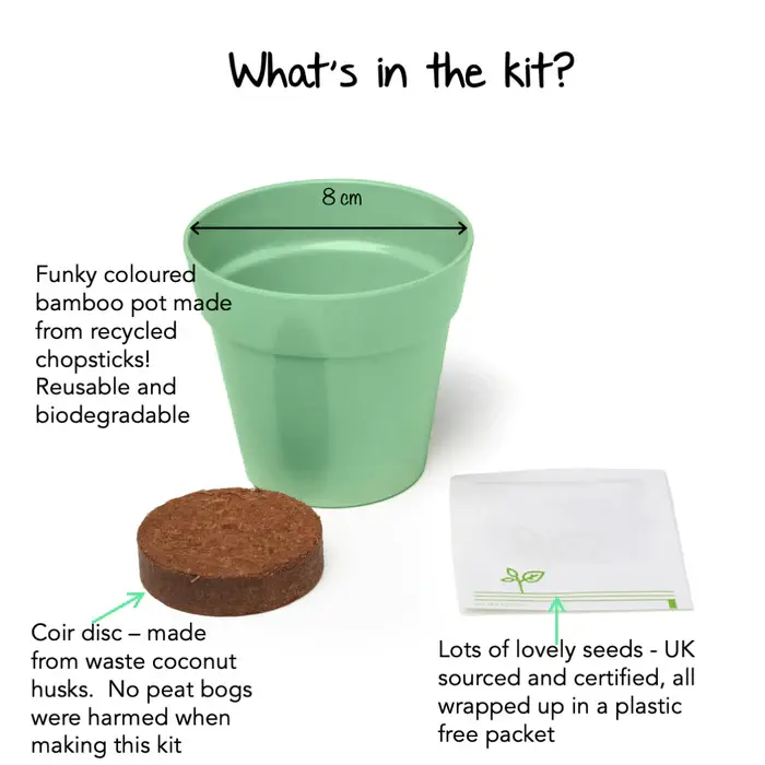 Thumbnail: Children's Grow Your Own Snapdragons Kit