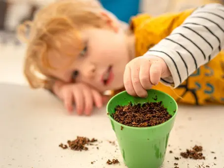 child showing their potted plant
