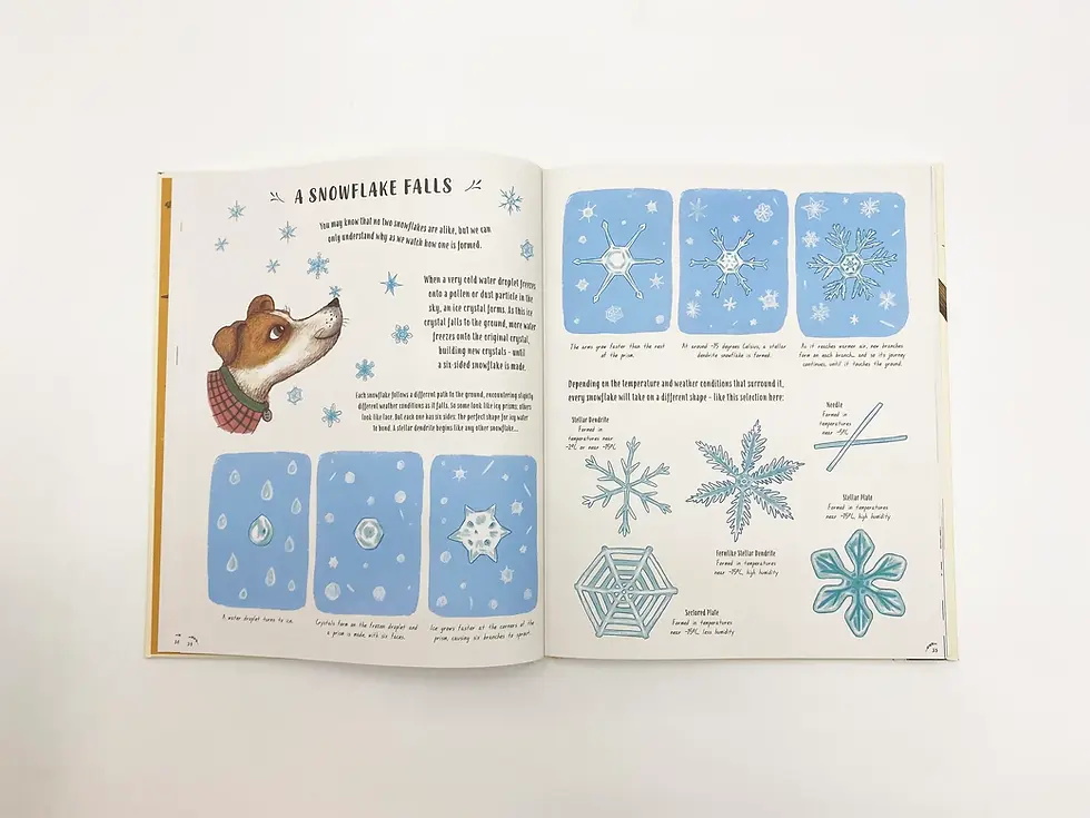 Thumbnail: Slow Down: 50 Nature Stories HB