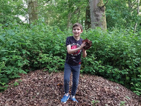 When Tablets Stay Packed: A Week of Real Play When Camping