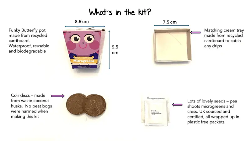 Thumbnail: Children's Microgreens & Cress Head Growing Kit - Pea Shoots