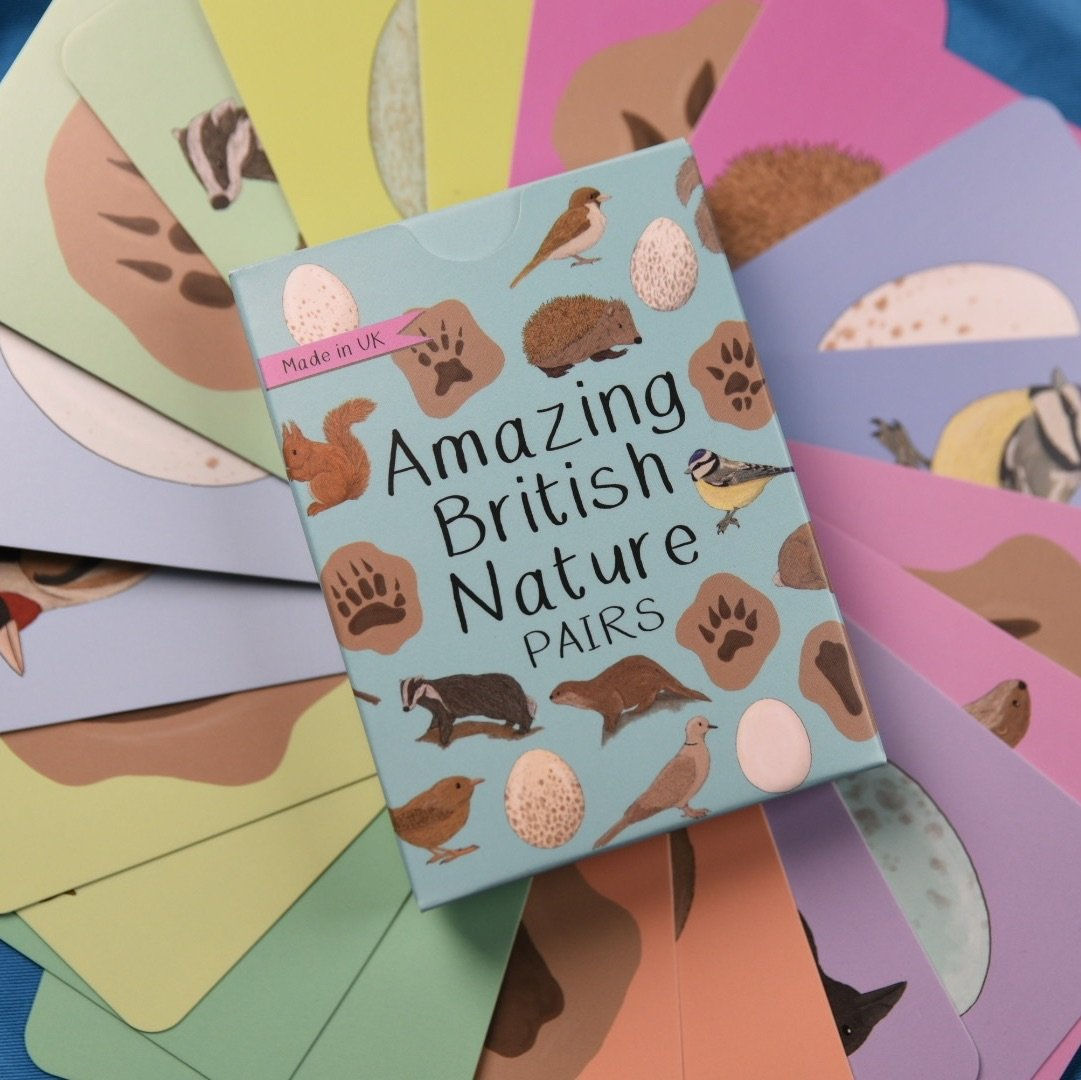 Amazing British Nature Pairs Game