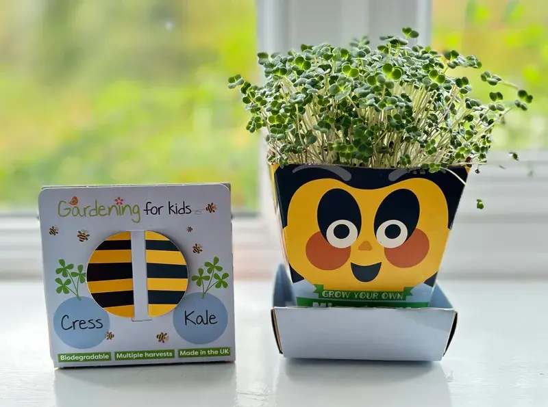 Thumbnail: Children's Microgreens & Cress Head Growing Kit - Kale