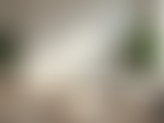 The Art of Minimalism in Home Design