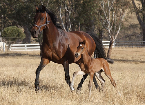 IMG_4135 (1024x725).jpg