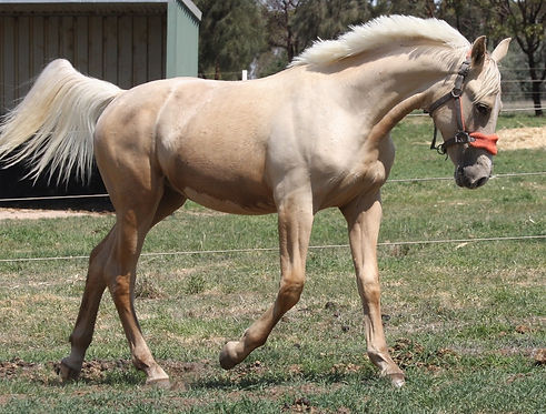 IMG_1692 (1024x684).jpg