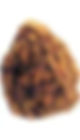 HIGH JOHN ROOT