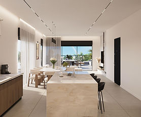 Raanana penthouse