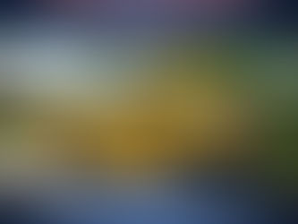 Leaders Are Often Looking in the Wrong Place