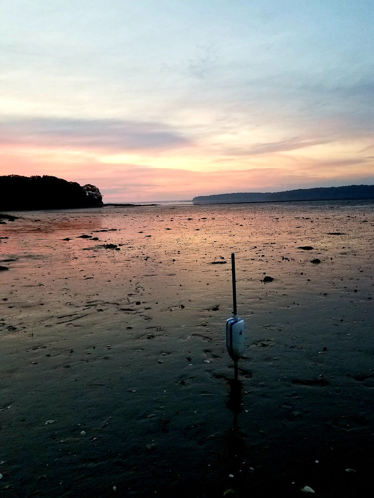 Water Quality My Site