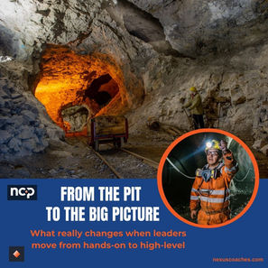 From the Pit to the Big Picture