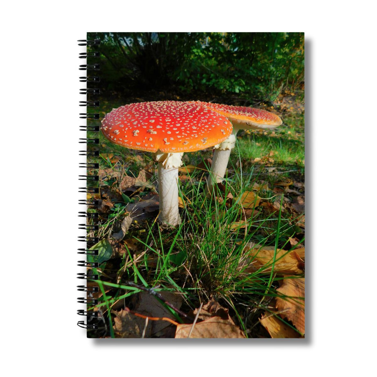 mushroom family photograph on the cover of a notebook
