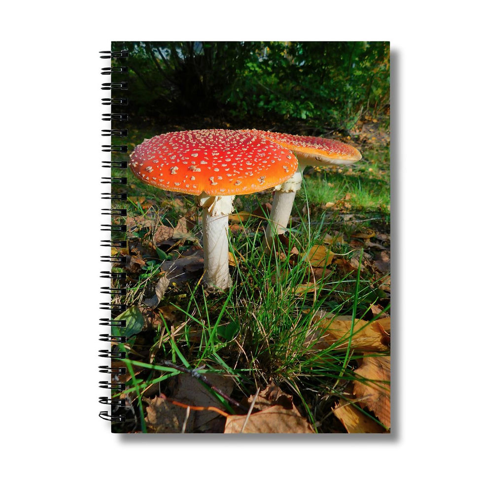 mushroom family photograph on the cover of a notebook