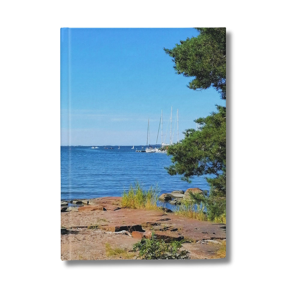 shore view photograph on the cover of a journal (front)