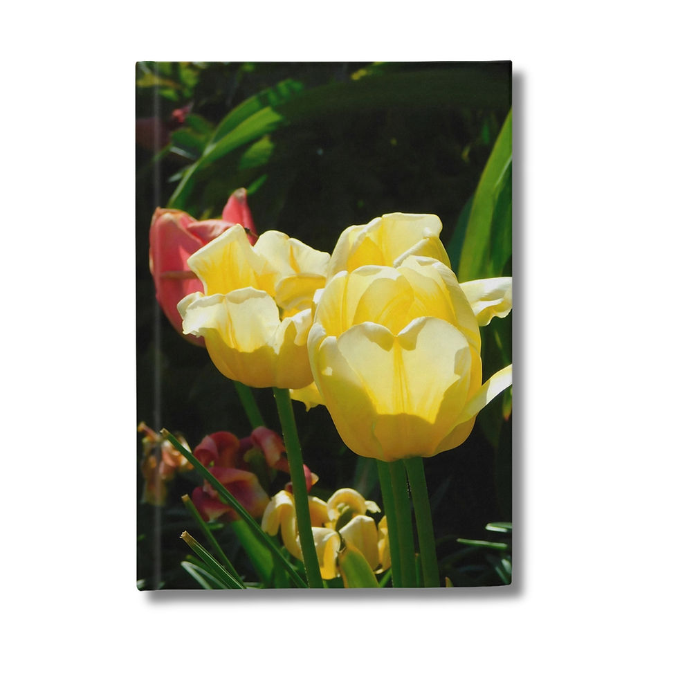 Yellow tulips photograph printed on a hardcover journal (front)