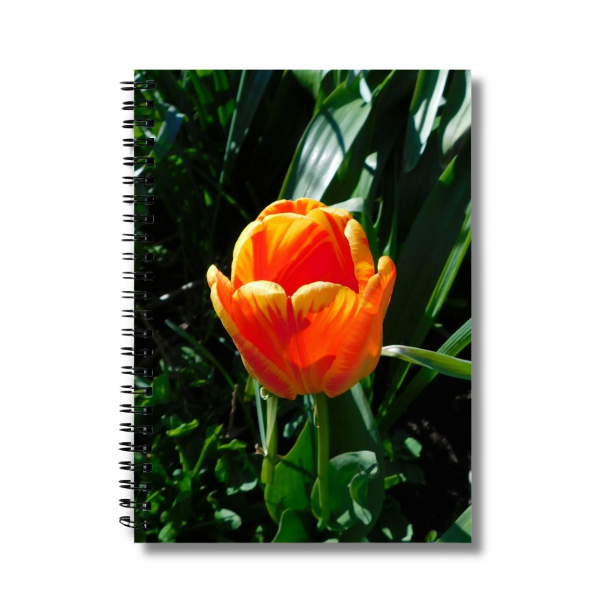 amber bloom photograph on the cover of a notebook
