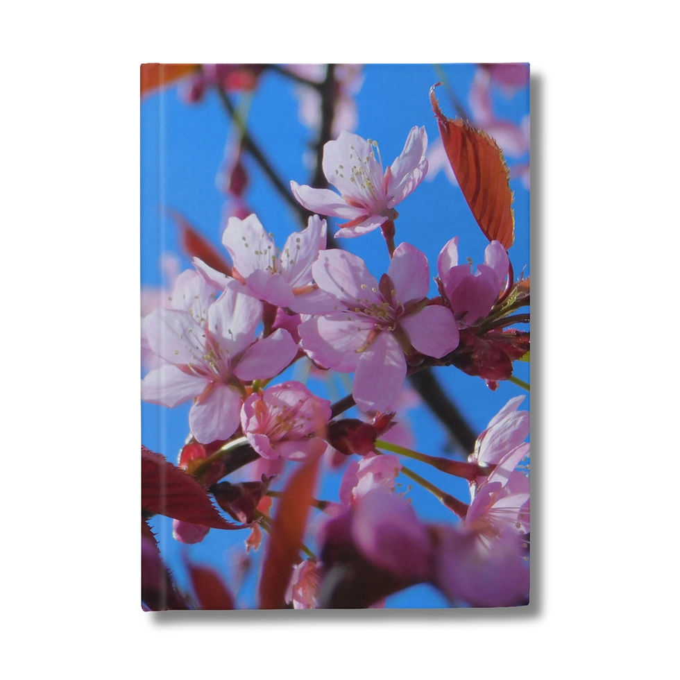 floral skies photograph on the cover of a journal (front)