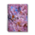 bumblebee petals photograph on the cover of a notebook