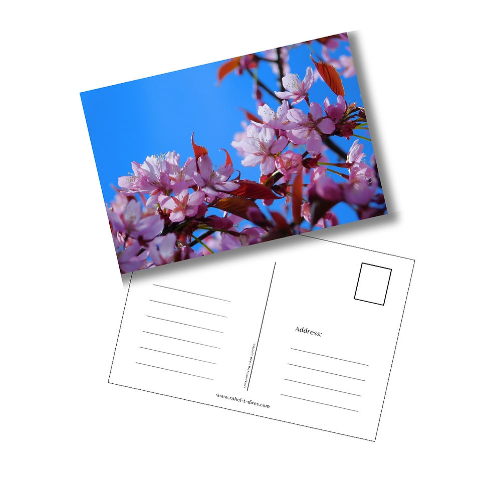 floral skies photograph printed on a fine art postcard