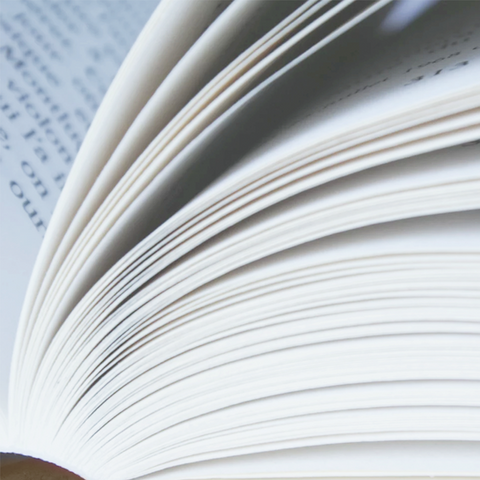 Ammonius Verlag, Webdesign