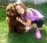 Australian Labraddodle