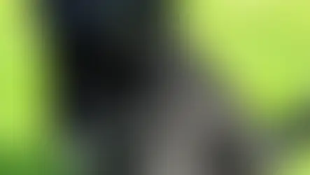 Gereldene and Hendrix have had a romantic date💕😍