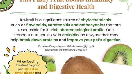 In small amounts Kiwi is great for dogs digestion