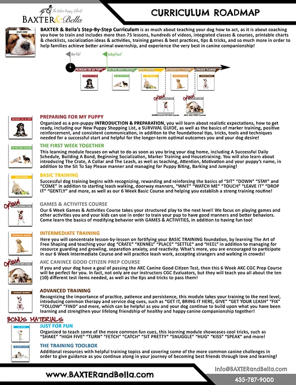 B&B Curriculum Roadmap.webp