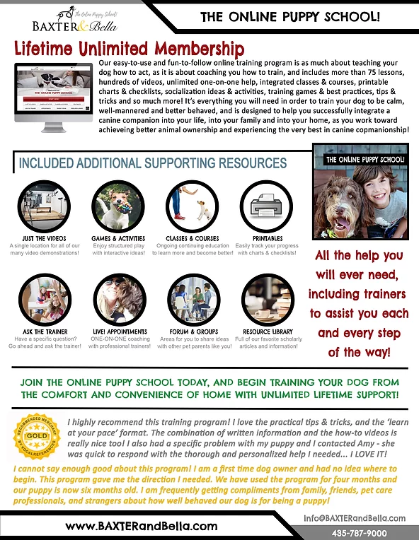 B&B The Online Puppy School.webp