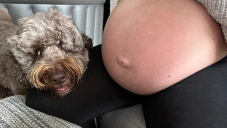 Are Australian Labradoodles good with babies? Well, if a photo could speak a thousand words😍❤️🐶