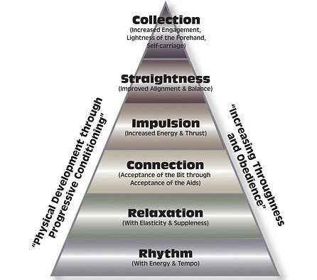 USDF Dressage Pyramid of Training_edited.jpg