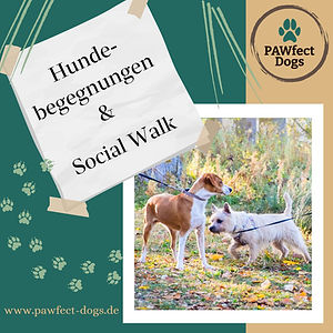 Hundebegegnungen.jpg
