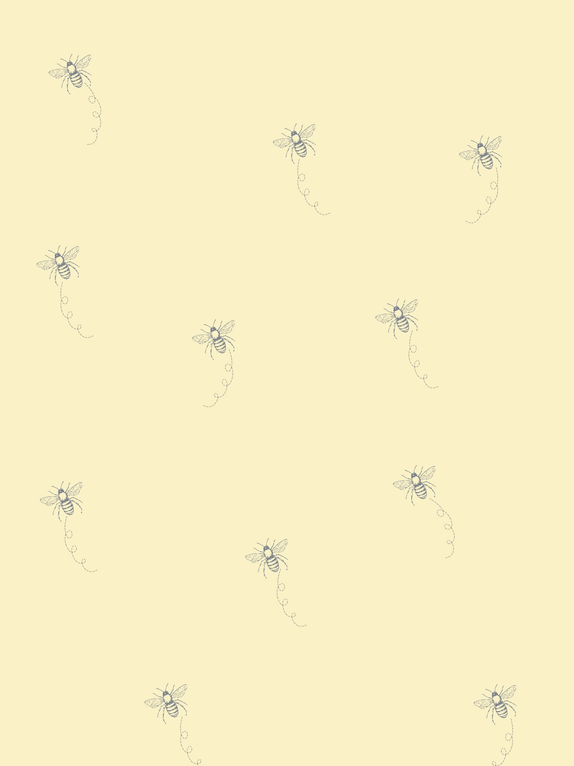 Untitled_Artwork 8.png