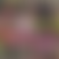 Magenta’s Team Building Day! by Allyson Hopkins