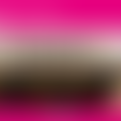 The Chancellor’s Autumn Statement