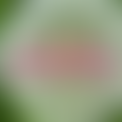 End of Life Planning, Your Financial Check List By Julie Lord