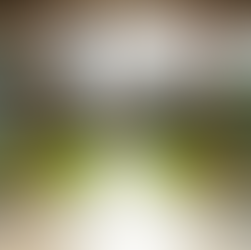 Designing Home Extensions for Maximum Impact: Your Guide to Home Extension Planning