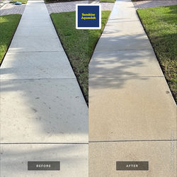 Oak Tree Tannin Stain Removal in Lakewood Ranch, FL