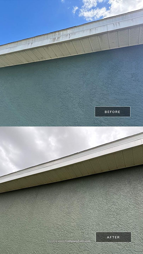 Fascia Brightening Bradenton.jpg