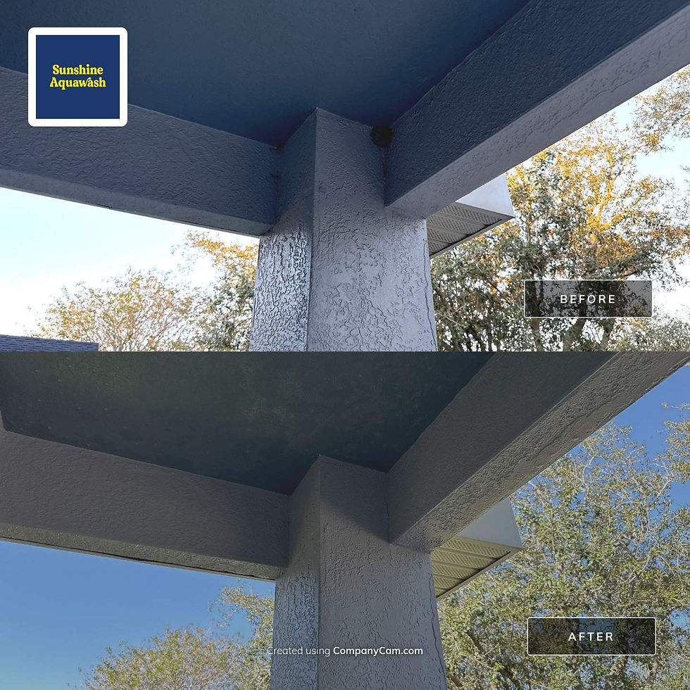 Front Entrance Ceiling of a house with two Mud Dauber Nests Before and After results of removing the mud dauber nests